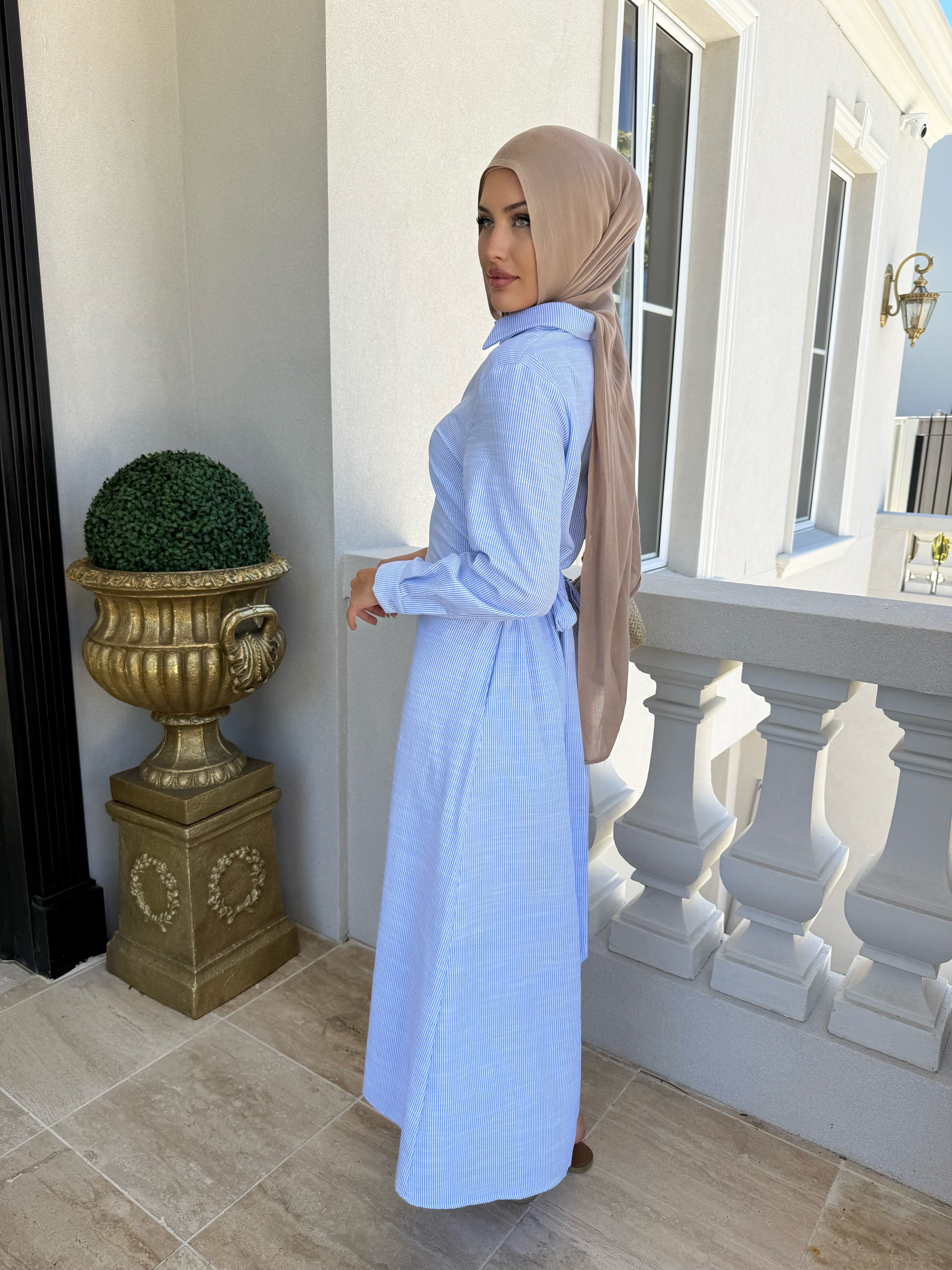 Blue Rayan Dress