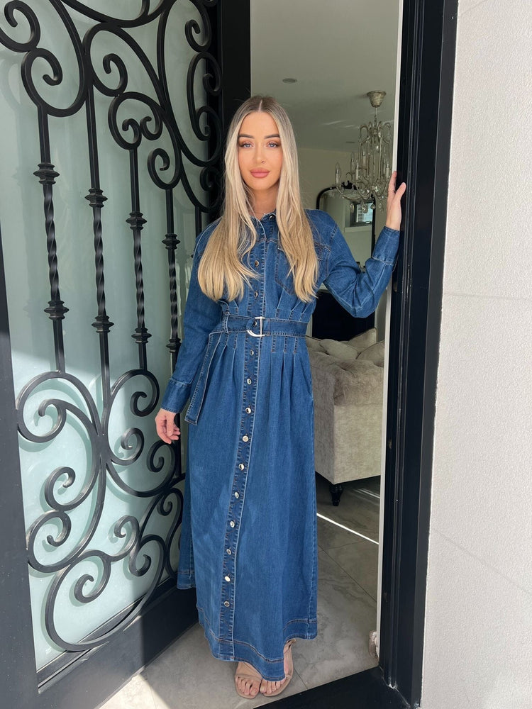 Joana Denim Dress