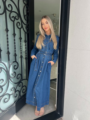 Joana Denim Dress