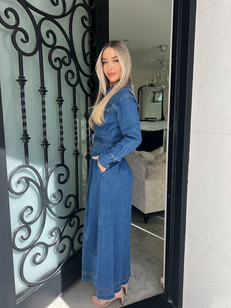 Joana Denim Dress