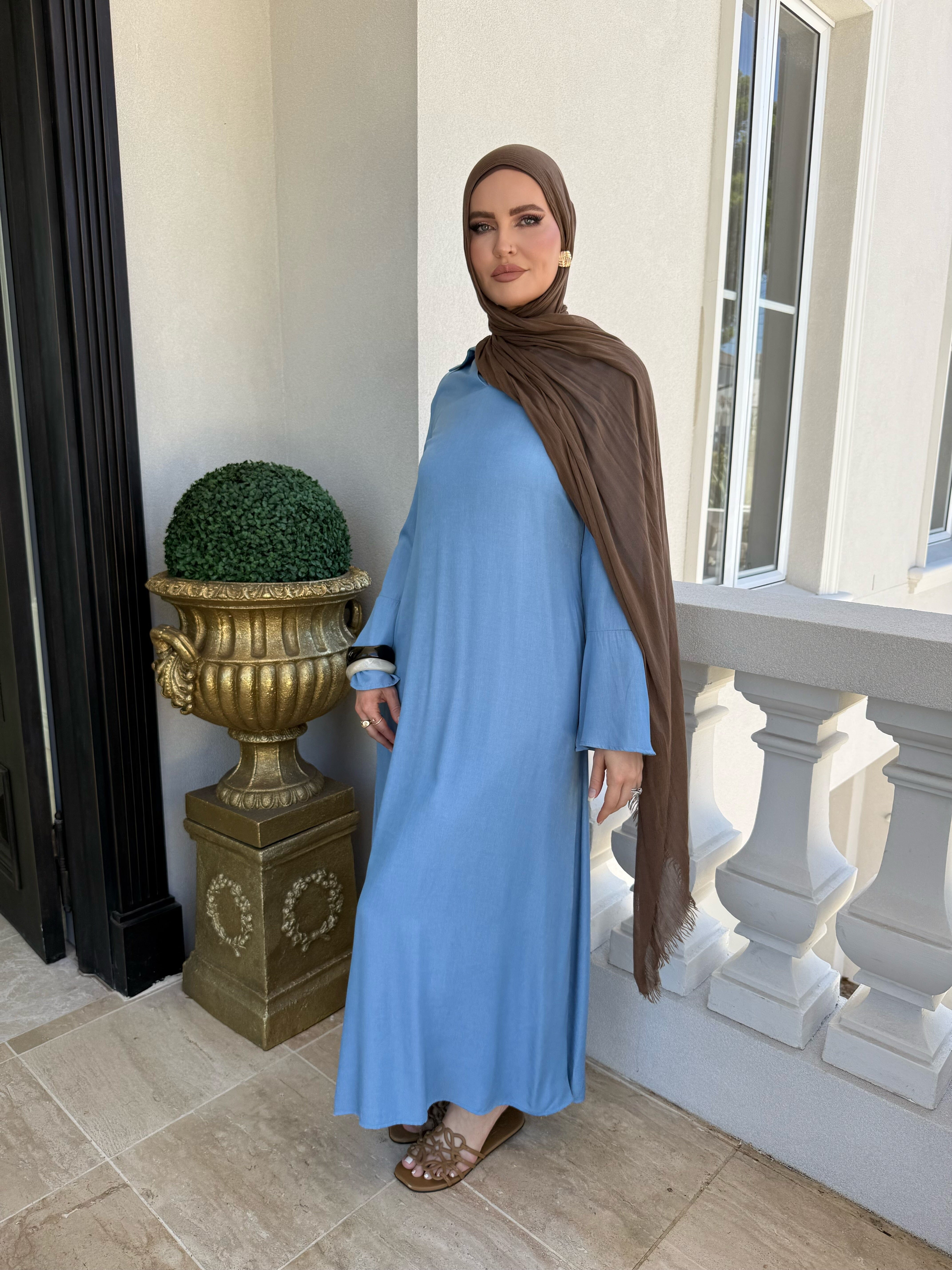 Chambray Belle Sleeve Dress