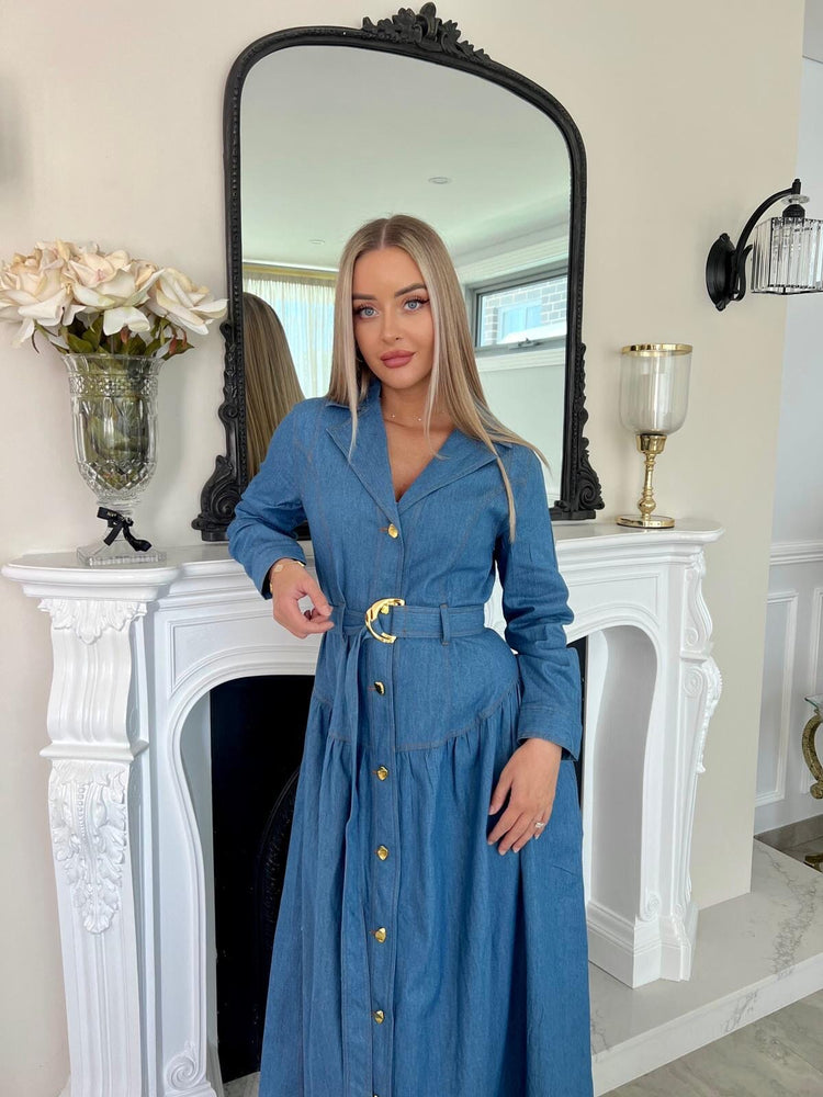 Dana Denim Dress