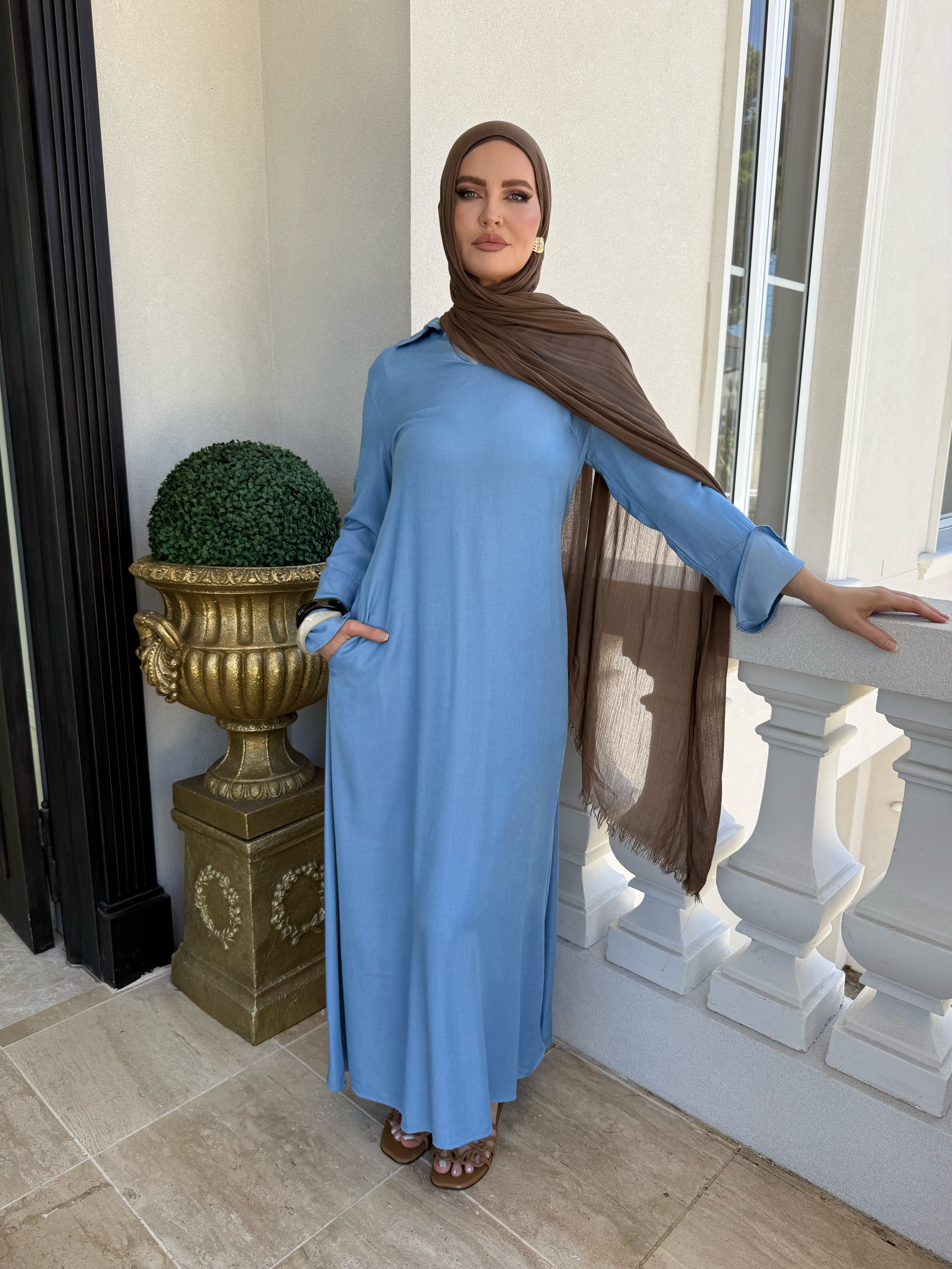 Chambray Belle Sleeve Dress