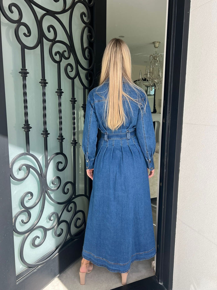 Joana Denim Dress