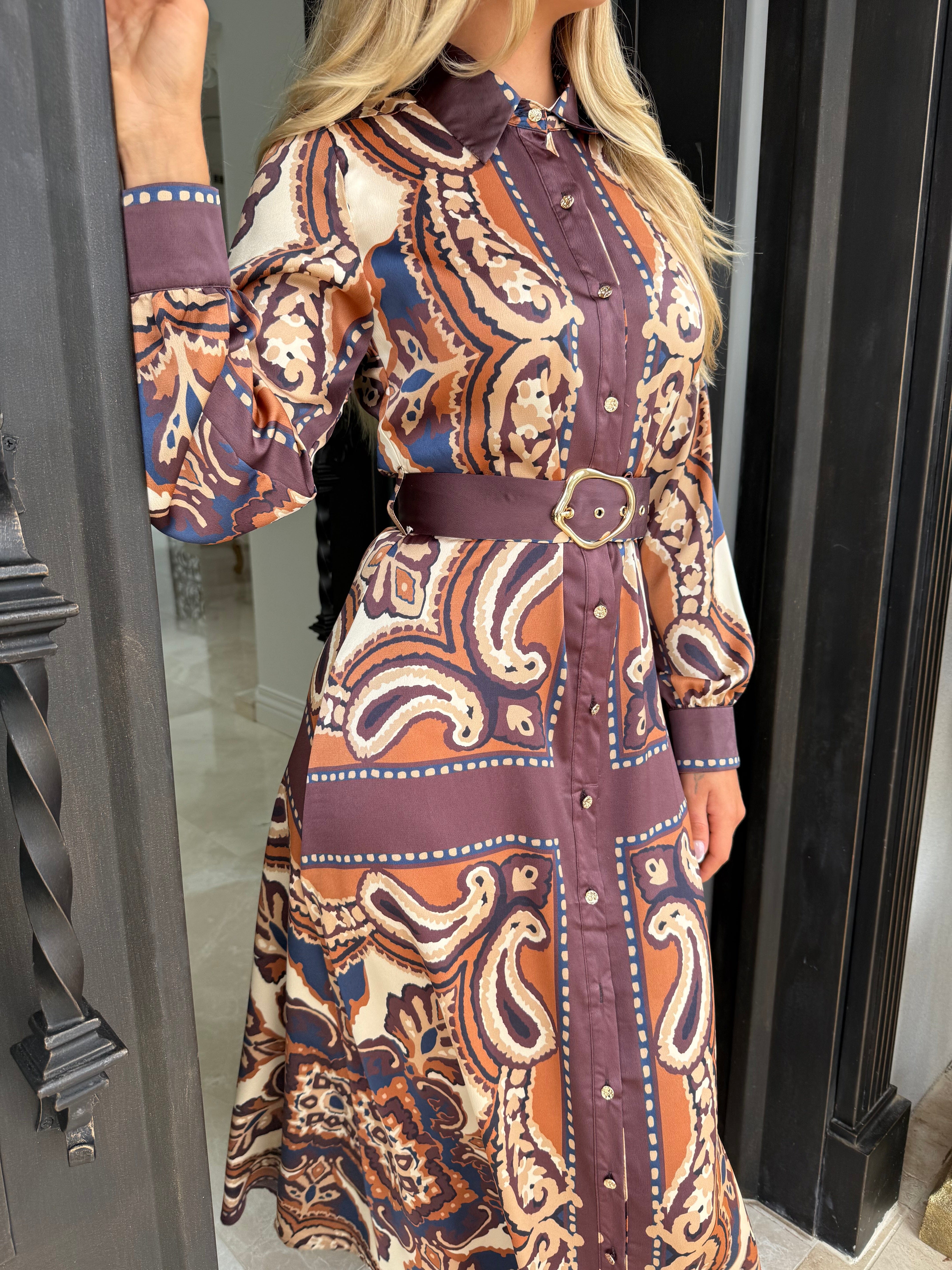 Brown Satin Printed Dress